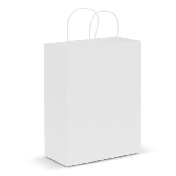 Paper Carry Bag - Large Thumbnail